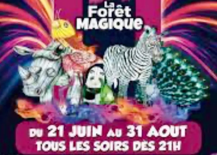 Διαμέρισμα C19 Jules Verne